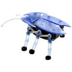The HexBug: The Intelligent Robotic Bug...or Maybe you Fancy Building Your Own?