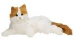 4 kitty