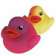 colour duck
