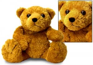 hotbear