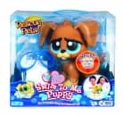 rescue pets swim to me puppy