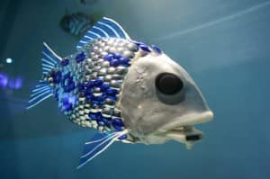 robotic fish