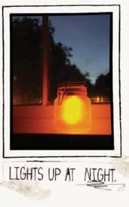 sunjar_night1