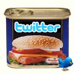 Twitter Correction rids us of Twitter Spam