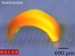 walking gel