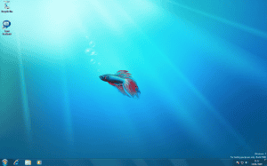Windows 7 Welcome Screen