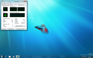 Windows 7 - Ram Usage